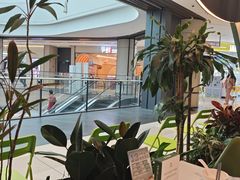 -烹然四季椰子鸡火锅(姚家园万象汇店)
