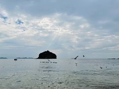 -棒棰岛宾馆景区