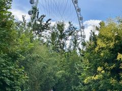 -巧克力渔家.小船海鲜家常菜(万平口店)