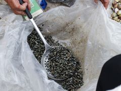 -李村大集
