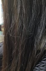 -环球蝶上美业连锁