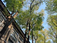 -南京晨光1865创意产业园