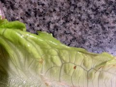 -酒拾烤肉(复地星光天地店)
