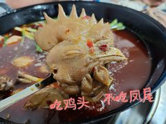 -石灰市毛记烧鸡公(解放碑店)