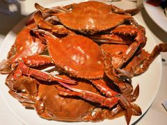 -赶海部落海鲜城(海阳路店)