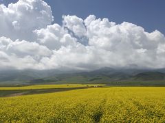 -青海湖国家重点风景名胜区