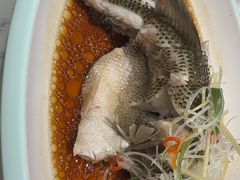 -T11生鲜超市(朝阳公园店)