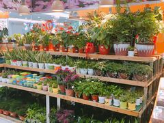 -大润发(梅兰东路店)