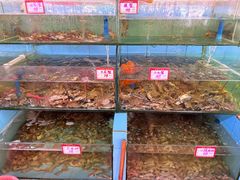 -胜海大排档·海鲜·黄鳝饭(十年老店)