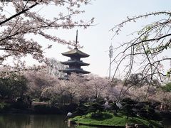 -东湖磨山景区