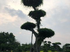 -南宁南湖公园