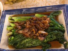 -百利鸽王(紫薇路店)