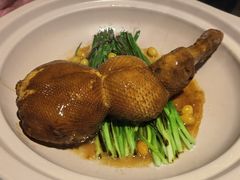 -鹿园 MOOSE(长宁店)
