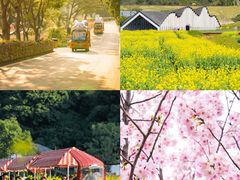 -广州市石门国家森林公园