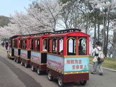 -团城山公园