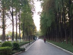 -武汉长江大桥