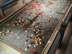 -四季民福烤鸭店(前门店)