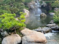 -罗红摄影艺术馆