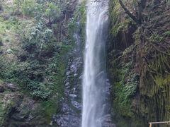 -莫里热带雨林景区