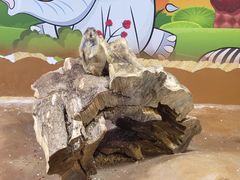 -秦皇岛新澳海底世界