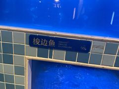 -大河宴椒麻鱼(嘉和园店)