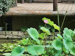 -三里河公园