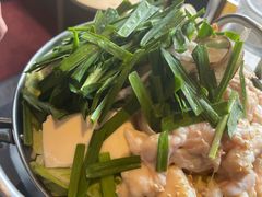 猪骨牛肠锅-九州酒场ひこぞう(1号店)
