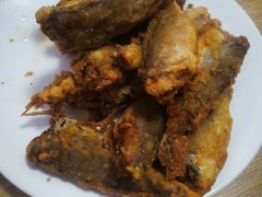 -金鹏鱼肉馆