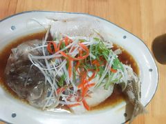 -田螺阿姨自营月嫂·育儿嫂(高新店)