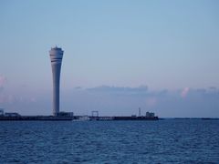 -上海吴淞炮台湾国家湿地公园