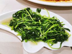 绿苋菜-紫阳海鲜楼·传承闽味(长乐路总店)