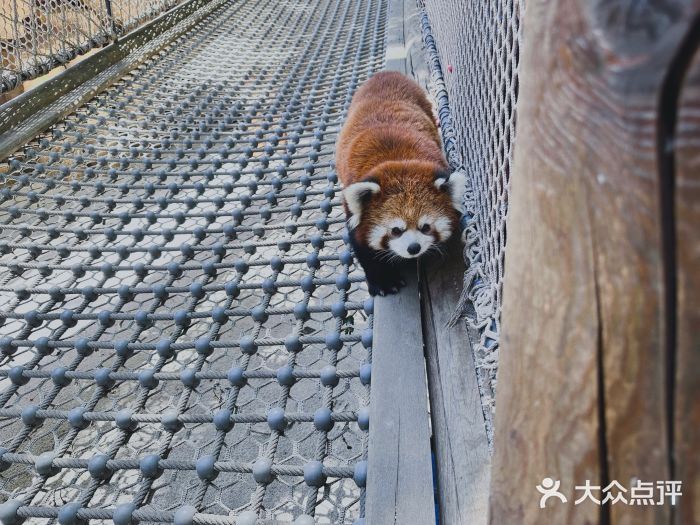 北京野生动物园图片