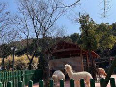 -无锡动物园·太湖欢乐园