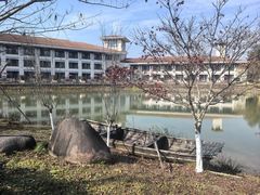 -桃源咖啡厅(武夷山大红袍山庄店)