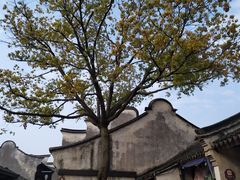 -乌镇东栅景区
