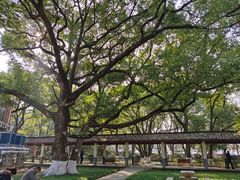 -马王堆汉墓遗址