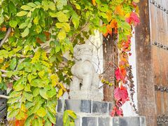 -慢丽江·云南野生菌土鸡锅(付家庄店)