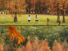 -番禺大夫山森林公园