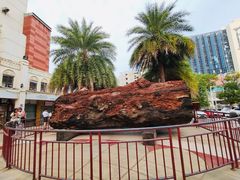 -海口骑楼小吃街