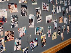 -柴犬高等学院·狗咖·柴犬售卖·宠物训练