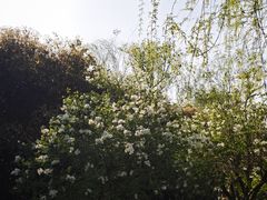 -郑州植物园