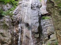 -王顺山国家森林公园