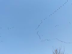 -厦门园林博览苑