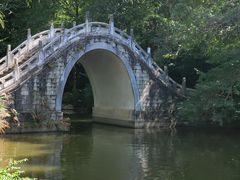 -深圳仙湖植物园