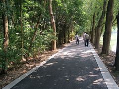 -同里国家湿地公园