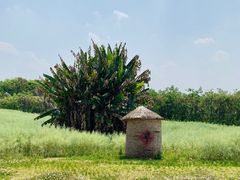 -白鹭湾湿地公园