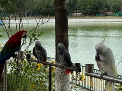 -水上乐园·欢乐世界