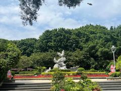 -金鸡山公园