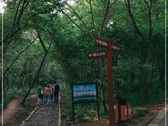 -大蜀山国家森林公园