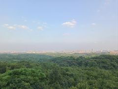 -南京老山国家森林公园